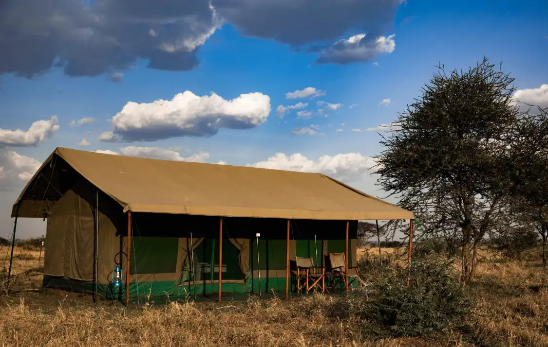 Hotels near Serengeti Heritage