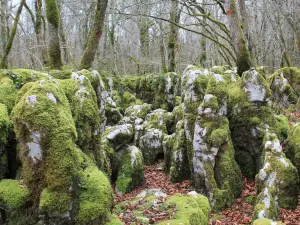 Sentier Karstique