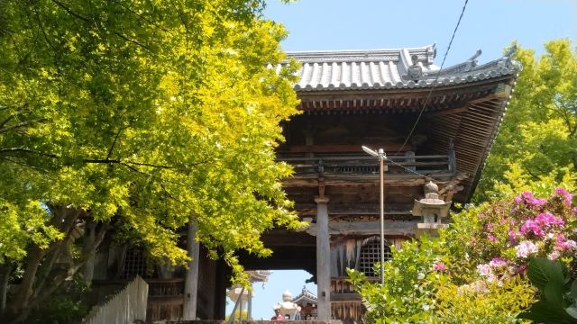 泉南