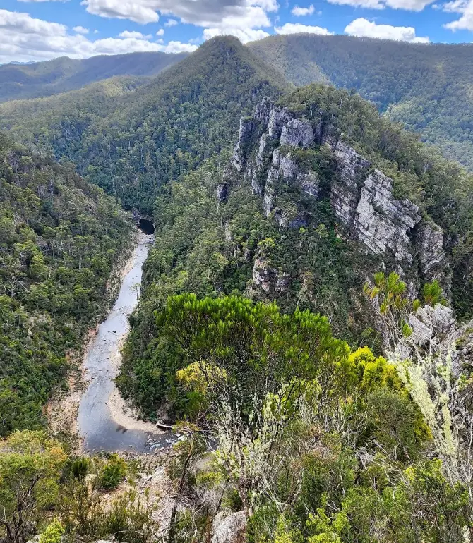 Mole Creek