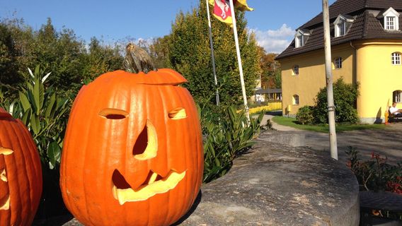 Freizeitpark Schloss Beck