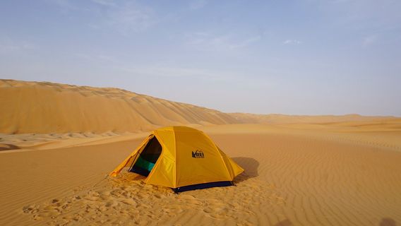 Liwa Oasis