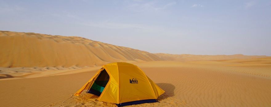 Liwa Oasis