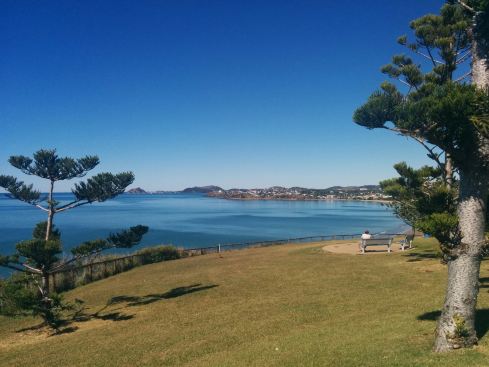 Spring Head Lookout