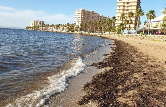 拉曼加戴爾馬爾梅納