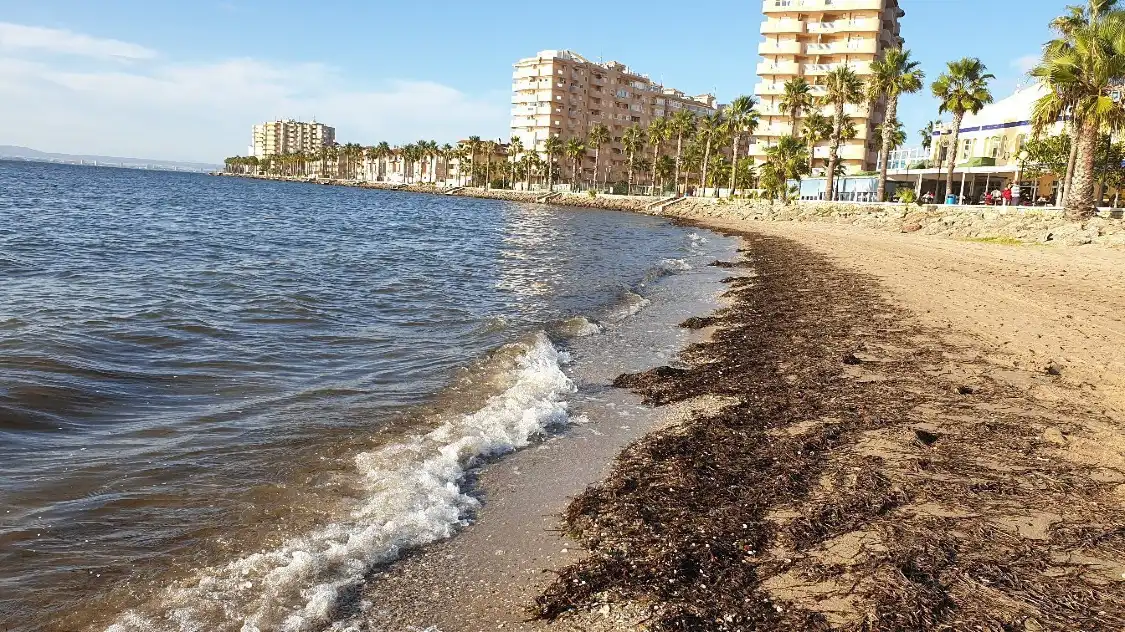 Hotels near Playa Mistral