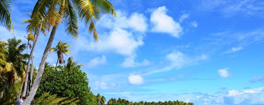 Fakarava beaches