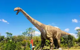 สวนไดโนเสาร์ ด่านนอก