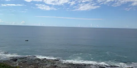 Iluka Rainforest Walking Track