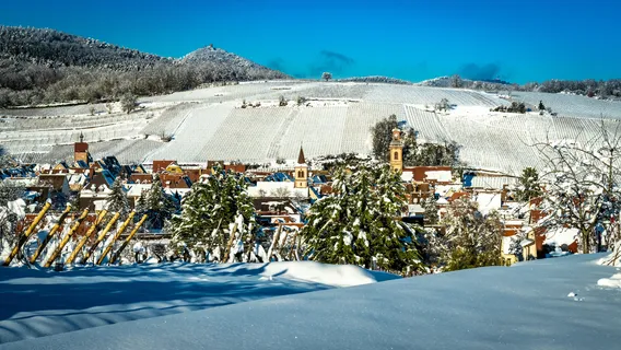 Domaine Laurence & Philippe Greiner