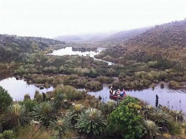 Hotels in Cucunuba