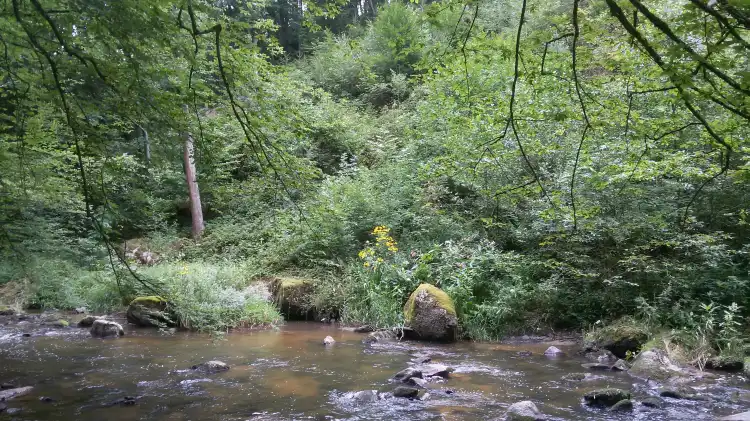 فنادق في Gemeinde Hagenberg im Muhlkreis