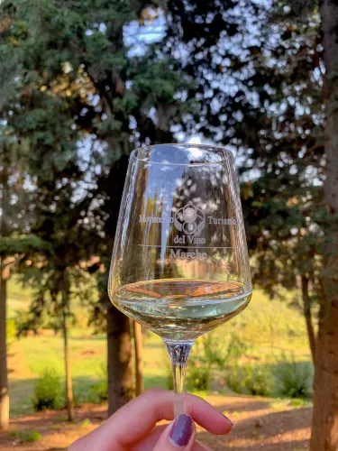 Fattoria le Terrazze