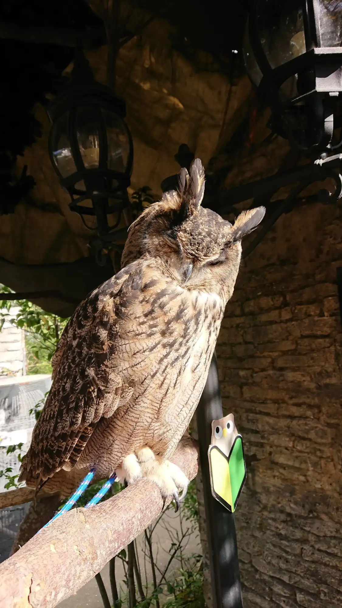 Hotels near Owl's Forest Zoo
