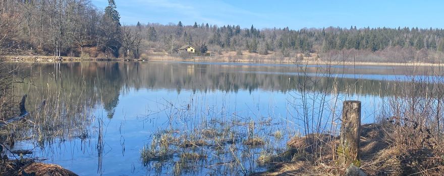 Lac de Bonlieu