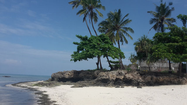 Benson Safaris Tanzania