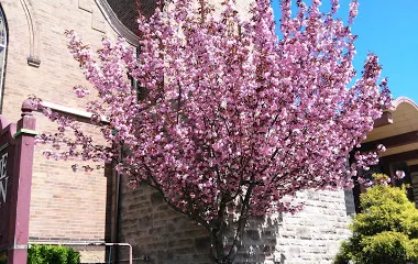 Bellevue Christian Church