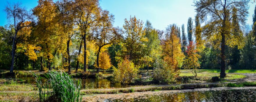 Petrovskiy Park