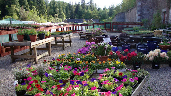 Duncraig Nursery