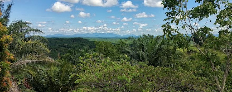 BUKIT JUNGKUT