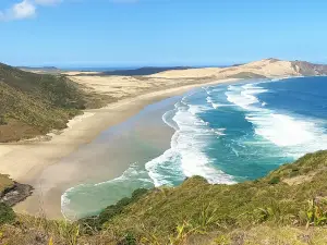 Te Araroa Trail