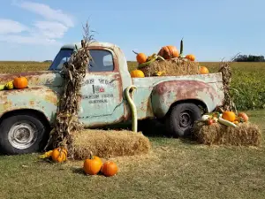 Wagon Wheel Pumpkin Farm