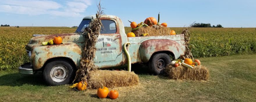 Wagon Wheel Pumpkin Farm