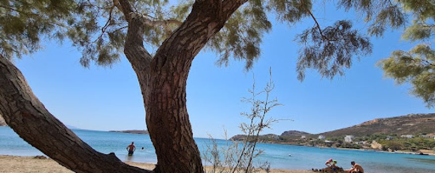 Paralia Agriolivado