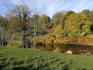 Tredegar Park