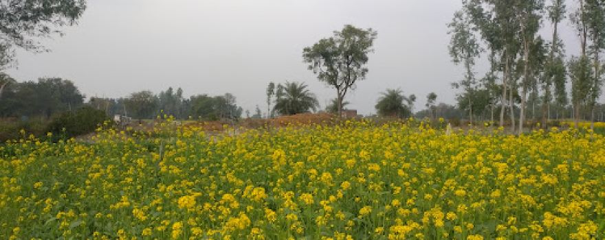Baba Nihal Das Temple