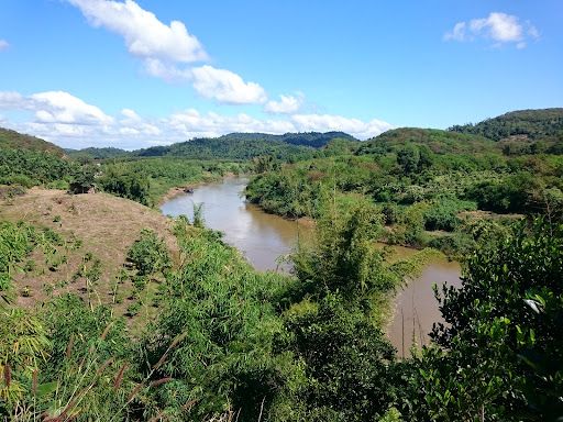 Dong Nai River