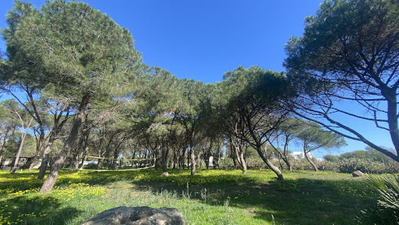Kampaoh Flumendosa