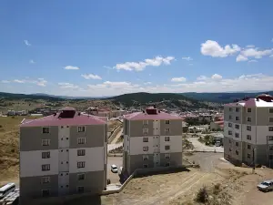 Şiran İlçe Stadı