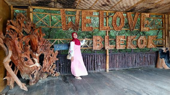 Wisata Kampung Blekok
