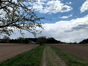 Grabijolų pažintinis takas