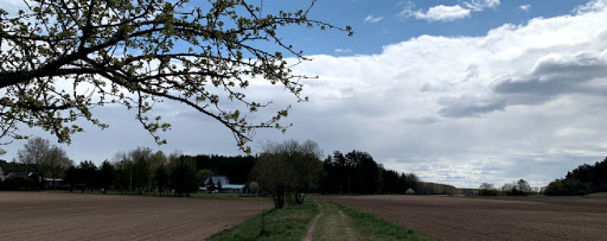 Grabijolų pažintinis takas