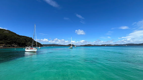Bayscapes Sailing Charters Bay of Islands