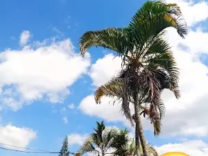 Parque barrio los mineros