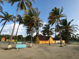 Manzanilla Bay