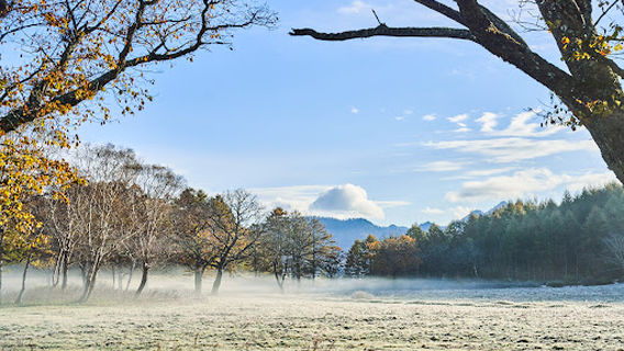 Kayanodairakogen Camping Ground