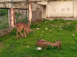 Cumilla Zoo and Botanical Garden