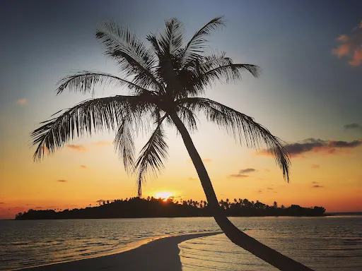 Secret Sunset Beach