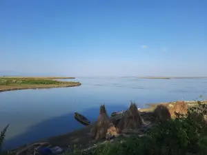 Koshi view tower