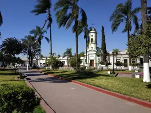 Teofilo Plaza Domingo Perez