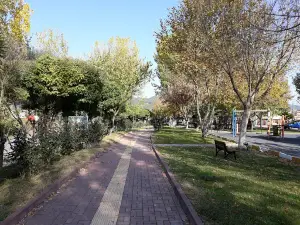 Park