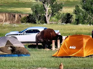 Sage Creek Campground