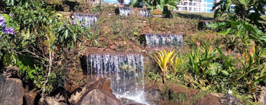 João Reis Park