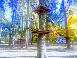 Gorodskoy Park
