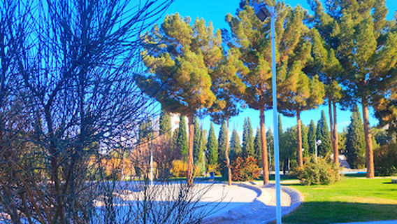 Tohid Park