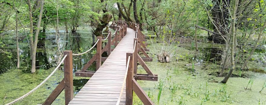 Observation Tower Oborín